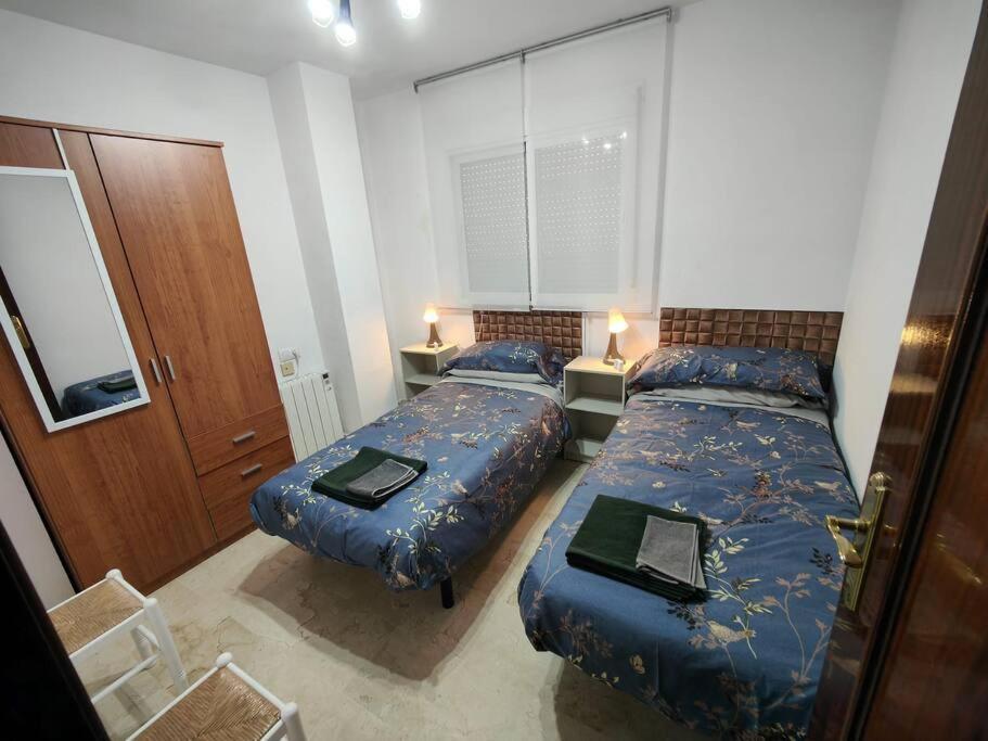Tranquilo Y Elegante Apartment Cenes De La Vega Bagian luar foto